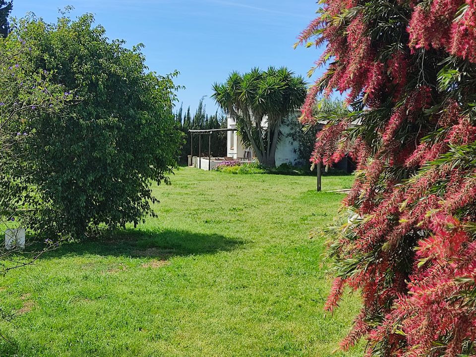 Finca i Chiclana De La Frontera, Cadiz - foto 4